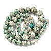 Natural Fossil Graduated Beads Strands G-F830-A03-01C-4