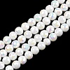 Electroplate Glass Beads Strands EGLA-B013-01A-AB07-1