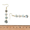 Natural Larimar Dangle Earrings EJEW-JE07529-5