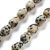 Natural Dalmatian Jasper Beads Strands G-B106-A29-01-1