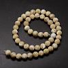 Natural Sea Shell Round Bead Strands SSHEL-M013-8mm-02-3
