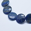 Natural Lapis Lazuli Beads Strands G-E446-01-24mm-3