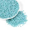 8/0 Glass Seed Beads SEED-US0003-3mm-154-4