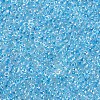 11/0 Grade A Round Glass Seed Beads SEED-N001-E-321-2