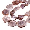 Natural Purple Phantom Quartz/Purple Lodolite Quartz Slice Beads Strands G-N362-11A-01-4