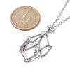 Crystal Holder Cage Necklace X-NJEW-JN04585-6