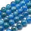 Natural Apatite Beads Strands G-O186-E02-8mm-2
