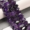 Natural Amethyst Beads Strands G-N327-05-18-2