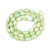 Natural Trochus Shell Beads Strands X-SHEL-K006-19-01C-2