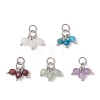 Natural Gemstone Pendants PALLOY-JF05141-01-1