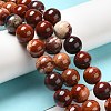 Natural Red Snakeskin Jasper Beads Strands G-H298-A02-05-2