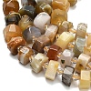 Natural Botswana Agate Beads Strands G-L642-H11-01-4