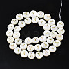 Natural Freshwater Shell Beads SHEL-S276-168Y-2