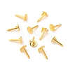 Brass Lapel Pin Backs Blank Pins KK-WH0054-29G-2