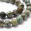 Natural African Turquoise(Jasper) Beads Strands G-D840-15-10mm-3