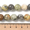 Natural African Opal Beads Strands G-B048-B03-04-2
