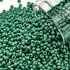 TOHO Round Seed Beads SEED-XTR11-0055DF-1