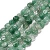 Natural Green Aventurine Beads Strands G-P568-C11-01-2