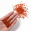 8/0 Glass Seed Beads SEED-US0003-3mm-29B-4