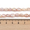 Natural Cultured Freshwater Pearl Beads Strands PEAR-P064-20H-02D-5