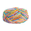 Light Gradient Segment Dyed Polyester Yarn DIY-TADJ0002-005B-1