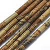 Natural Picture Jasper Beads Strands G-F631-D04-02-1