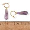 Natural Green Aventurine/Rose Quartz/Amethyst/Agate/Tiger Eye Dangle Earrings EJEW-JE07331-6