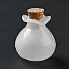 Lucky Bag Shape Glass Cork Bottles Ornament AJEW-A039-02E-2