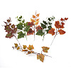 30Pcs 6 Colors Artificial Plastic Maple Leaf AJEW-CF0001-03-2