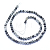 Natural Hawk's Eye Beads Strands G-I279-E14-03-2