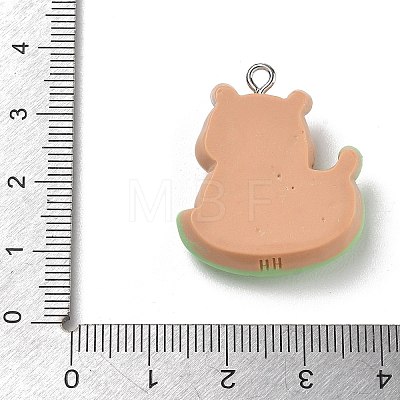 Opaque Resin Pendants RE-CBAFA24-04-1