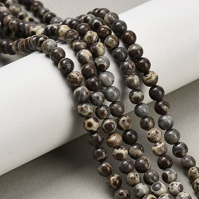 Natural Astroite Jasper Beads Strands G-F814-A01-4mm-1