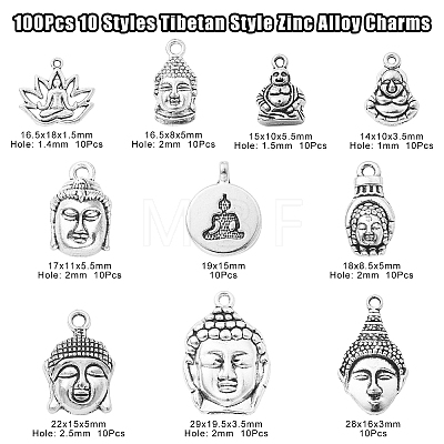 100Pcs 10 Styles Tibetan Style Zinc Alloy Charms TIBEP-CJ0003-08-1