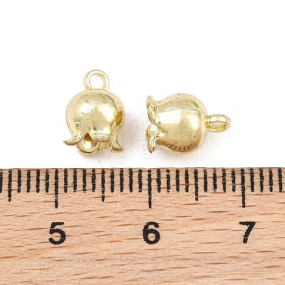 Alloy Charms AL-CBA43BE-19B-G-1
