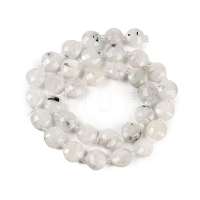 Natural Rainbow Moonstone Beads Strands G-B094-A06-01-1