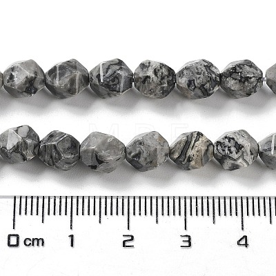 Natural Map Stone Beads Strands G-G030-A02-01-1