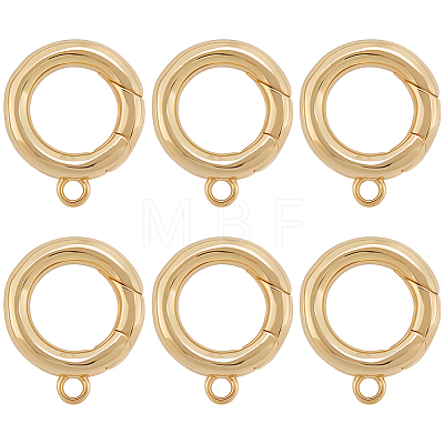 6Pcs Brass Spring Gate Clasps KK-SC0006-42G-02-1