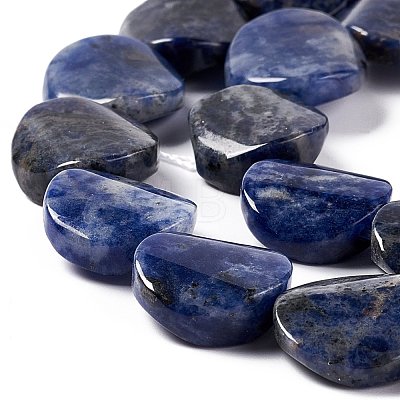 Natural Sodalite Beads Strands G-O120-14-1