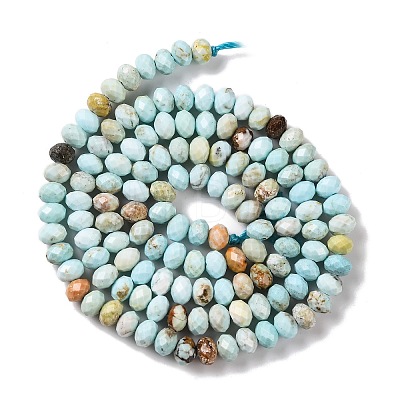 Natural Howlite Beads Strands X-G-H025-03C-09-1