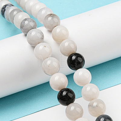 Natural Agate Beads Strands G-R494-A18-03-1
