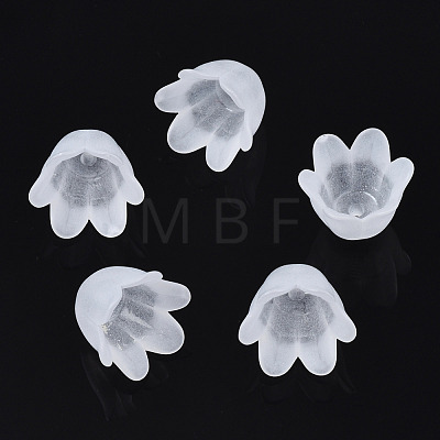Transparent Acrylic Bead Caps FACR-N005-002-1