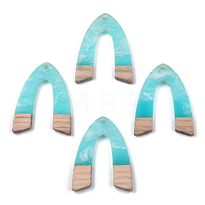 Transparent Resin & White Wood Pendants RESI-TAC0017-38-1