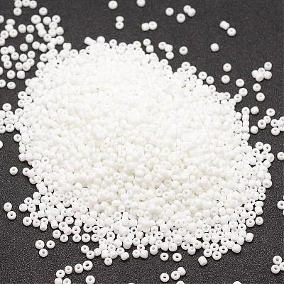 6/0 Glass Seed Beads X-SEED-J014-F6-41-1