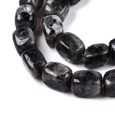 Natural Larvikite Beads Strands G-T138-106-1