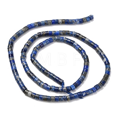 Natural Lapis Lazuli Beads Strands G-P608-A06-01-1