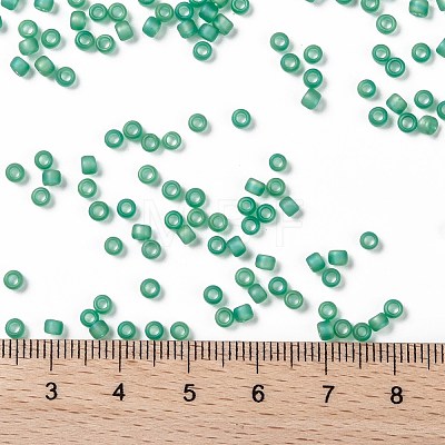 TOHO Round Seed Beads X-SEED-TR08-0164BF-1