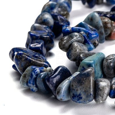 Natural Lapis Lazuli Beads Strands G-G011-05B-1