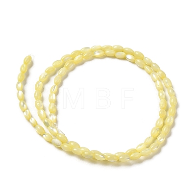 Natural Trochus Shell Beads Strands SHEL-K006-19C-1