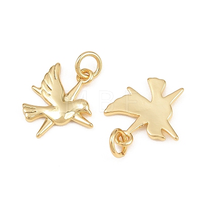 Brass Pendants KK-L275-58G-01-1