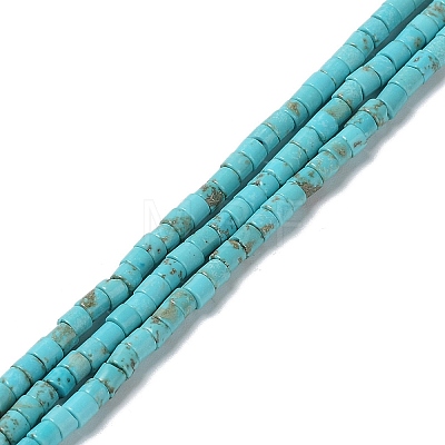 Natural Howlite Beads Strands G-E604-A02-C-1